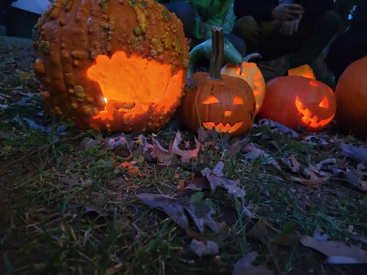 Several carved pumpkins sit on grass and fallen leaves at night, glowing from within. The largest pumpkin on the left has an…