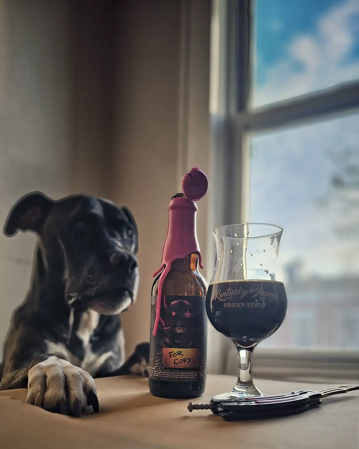 A black and white dog sits beside a bottle of Kentucky Brunch Brand Stout with a pink, melted-looking cap and a label that…