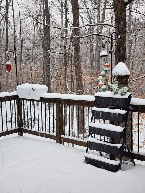 A snowy outdoor deck with a wooden railing and snow-covered planters, string lights, and bird feeders hanging in a winter…