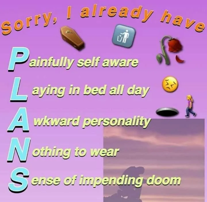 A purple background features the large letters P-L-A-N-S vertically, each paired with a humorous reason for having those…