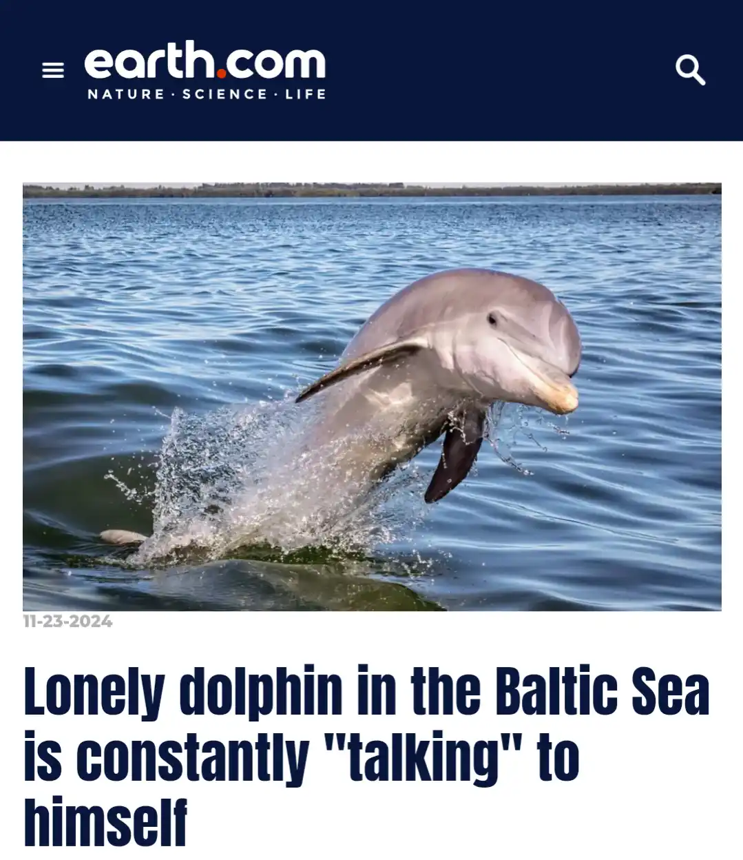 Meet My Spirit Animal