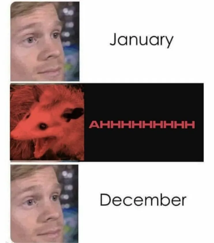 The image is a three-panel meme. The top panel shows a man with a blank, slightly confused expression labeled 'January'. The…
