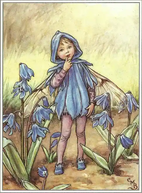 A vintage watercolor illustration shows a small child in a blue hooded cloak and fairy wings standing among bluebell…