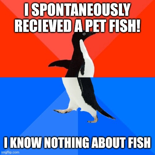 A penguin stands against a red and blue background, with text above it reading 'I SPONTANEOUSLY RECIEVED A PET FISH!' and…