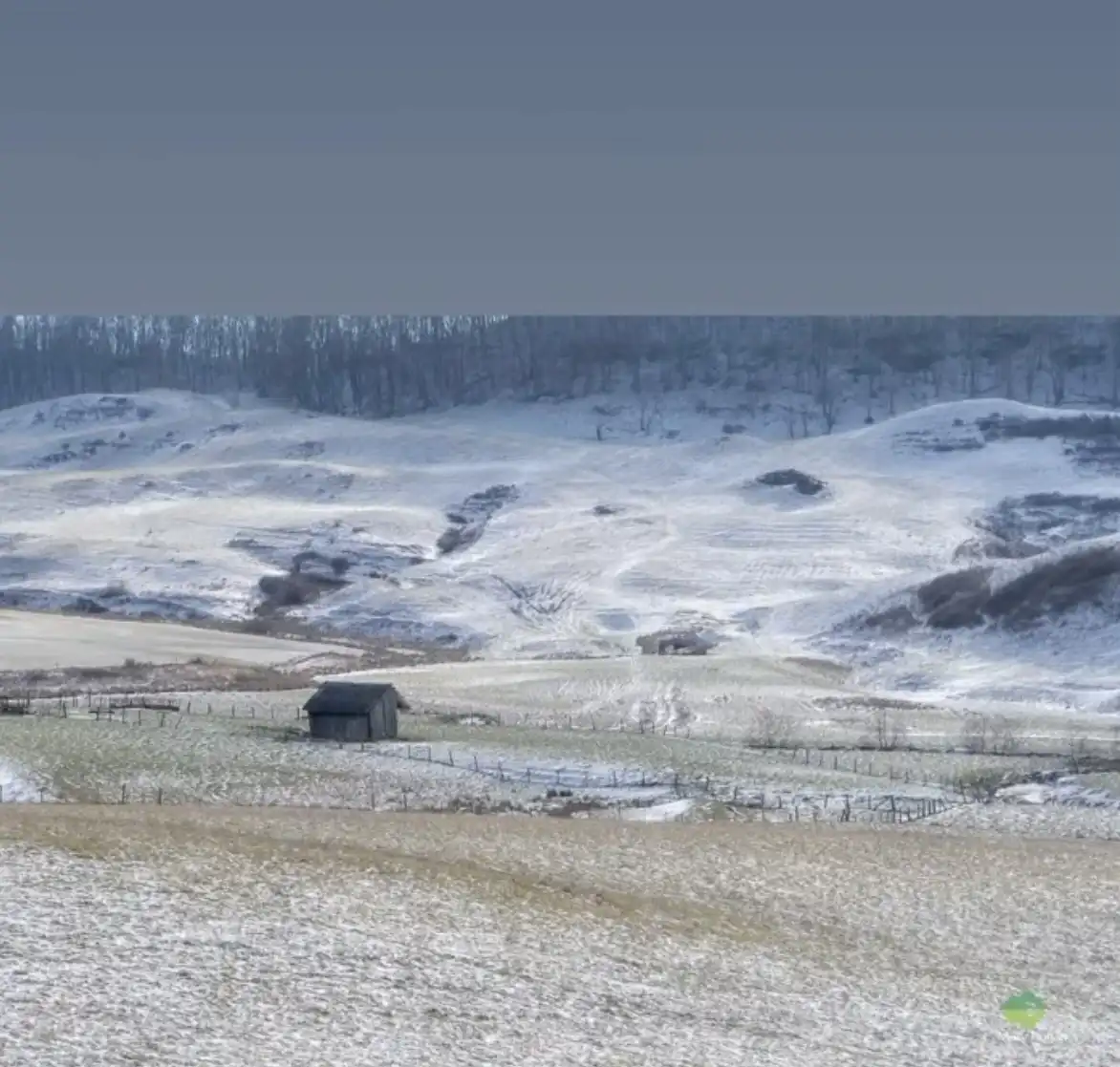 A snowy rural landscape with rolling hills, sparse trees, and a small wooden shed in the foreground. The ground is lightly…