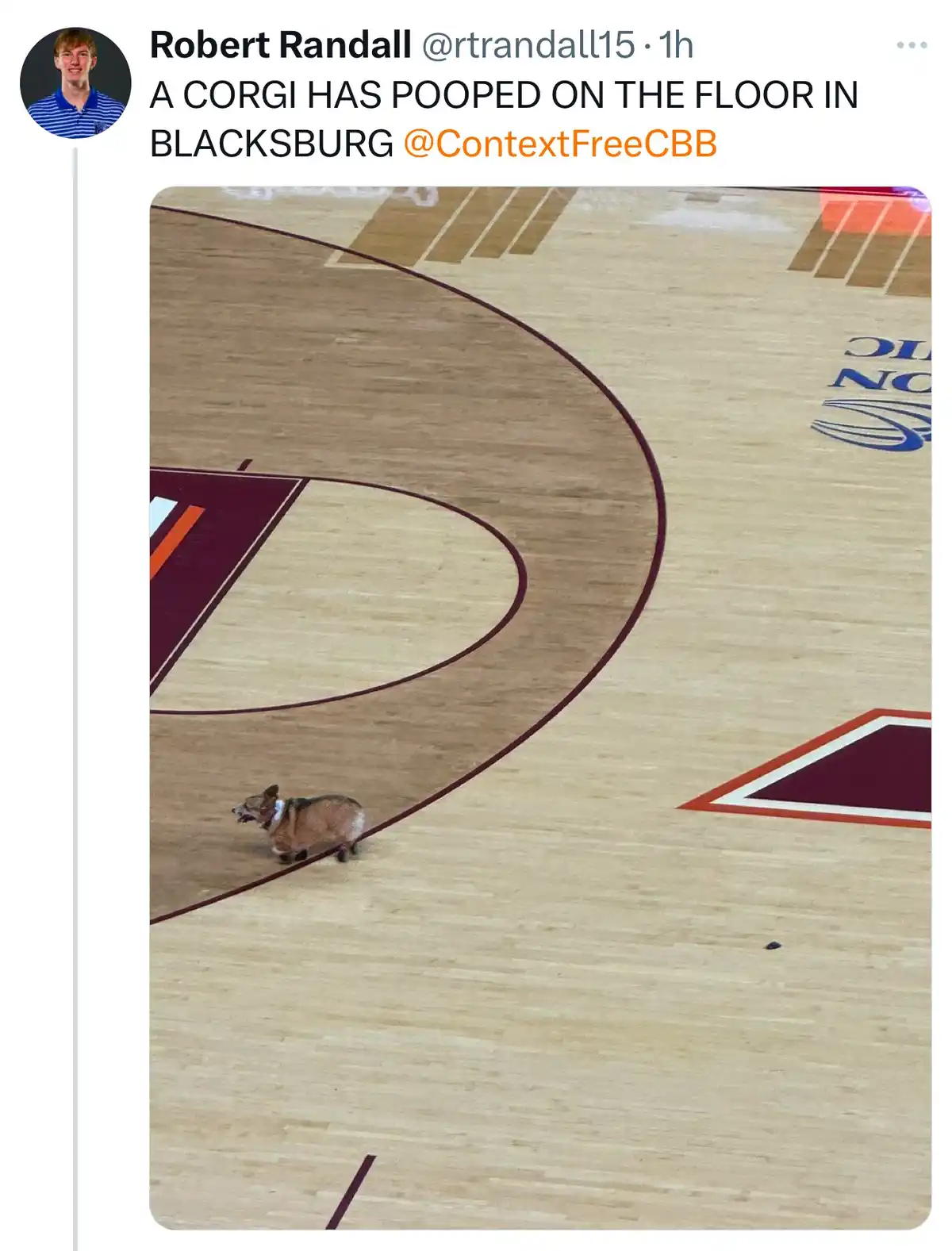 When Things Go Hilariously Wrong: Oops Moments
