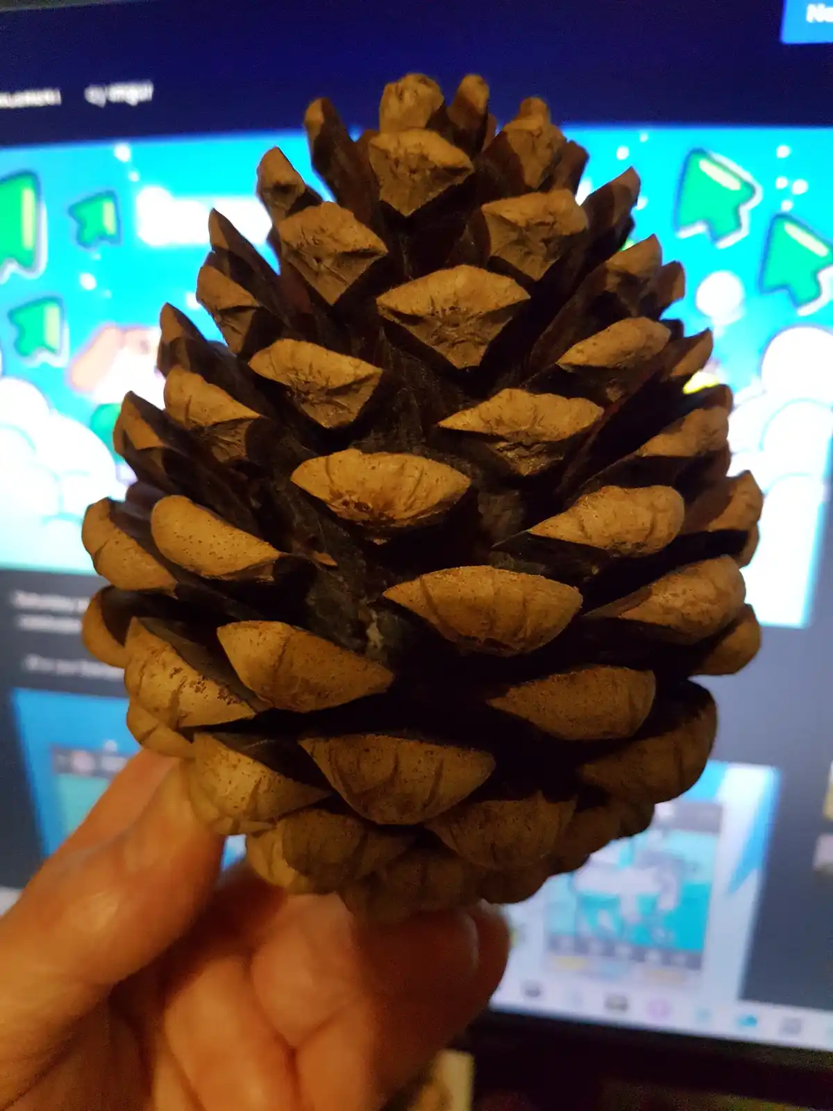 A hand holds a large, brown pinecone in front of a computer screen displaying a colorful, cartoonish interface with green…