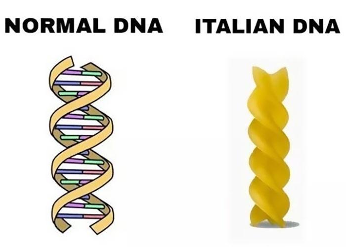 The image displays two side-by-side illustrations: on the left, a classic double-helix DNA structure labeled 'NORMAL DNA'…
