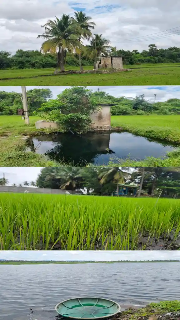 A glimpse into the charm of village life