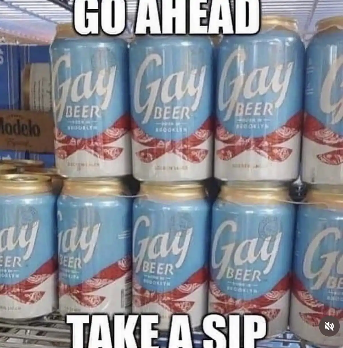 A close-up shot of multiple cans of 'Gay Beer' from Brooklyn, arranged on a store shelf. The cans have a light blue label…