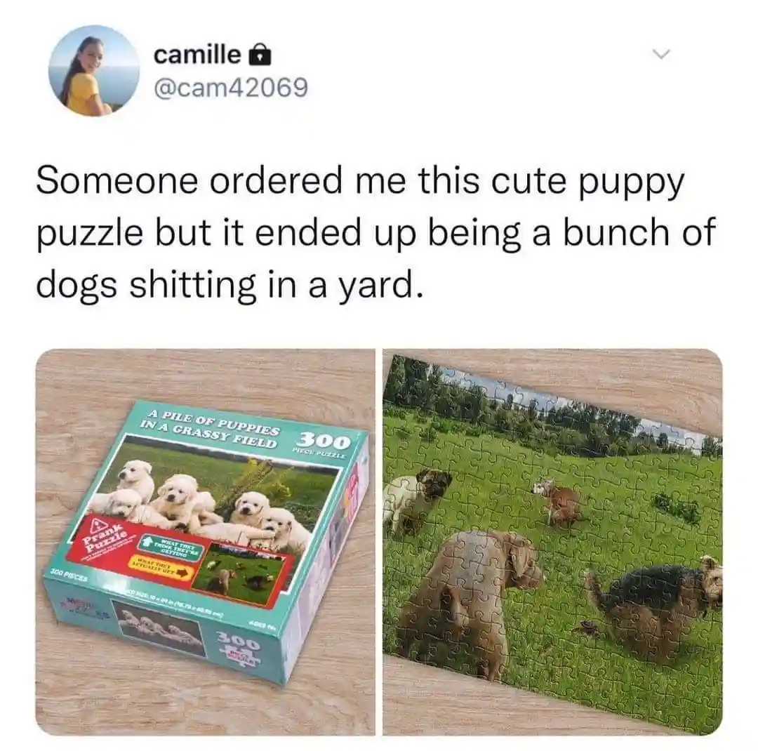 The image shows a puzzle box labeled 'A Pile of Puppies in a Grassy Field' with a picture of cute puppies, next to the…