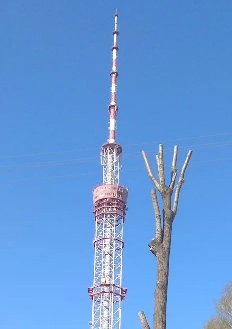 A tall red-and-white telecommunications tower stands against a clear blue sky, juxtaposed beside a bare, leafless tree that…