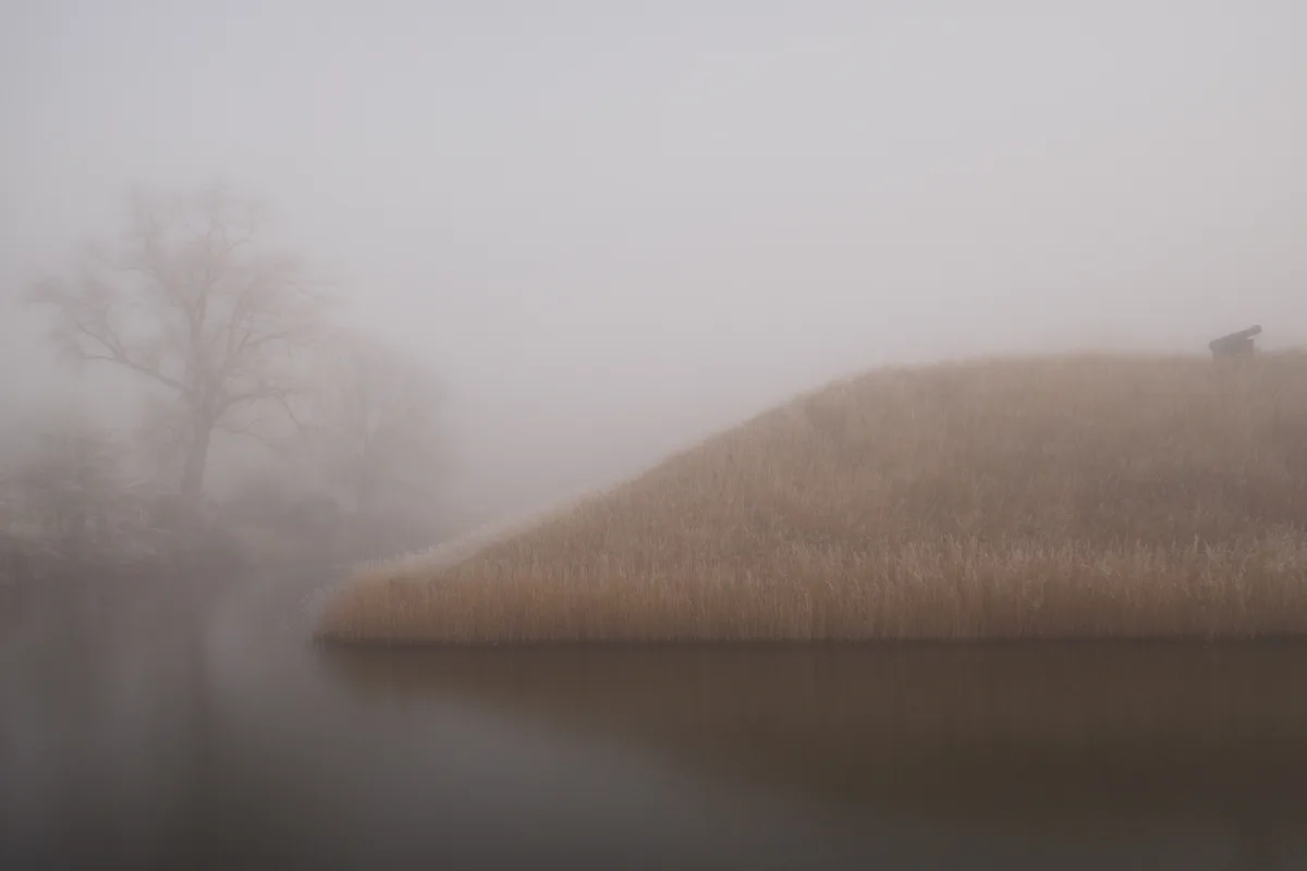 Took a Leisurely Stroll with My Camera and No Regrets