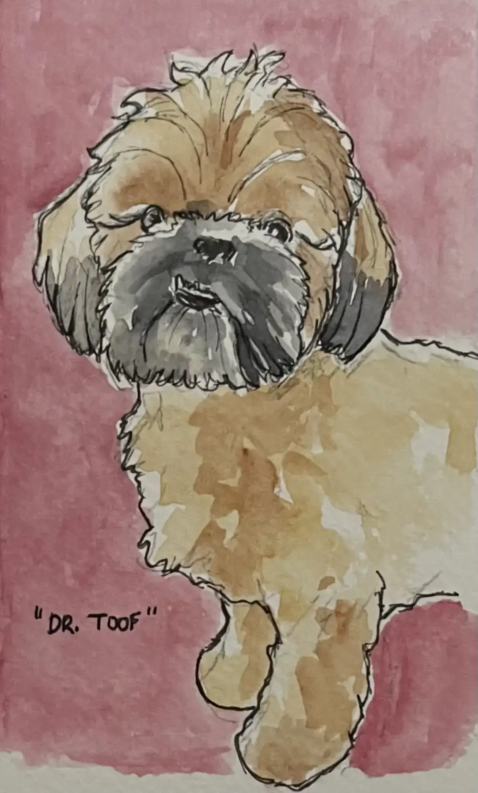 A watercolor-style drawing of a fluffy, tan and grey dog with a prominent beard, standing against a pink background. The…