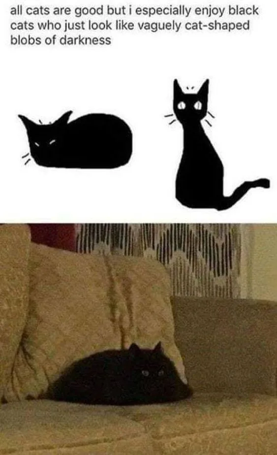 The image is split into two parts: the top shows two simple black silhouettes of cats, one lying down and one sitting…