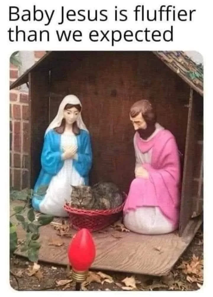 A nativity scene with plastic figurines of Mary and Joseph kneeling beside a red basket containing a real, fluffy tabby cat…