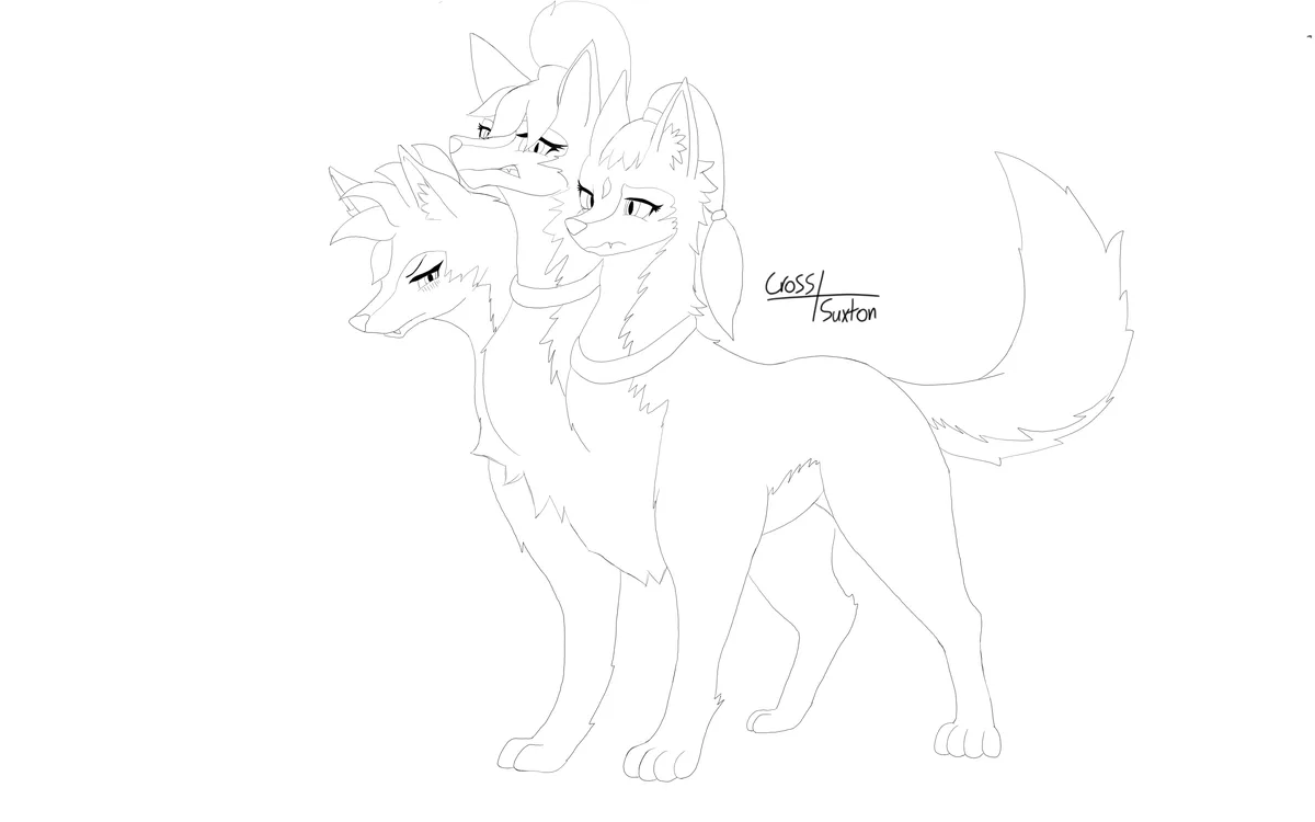 Gray Braiton Transforms: Is That a Cerberus Form?!