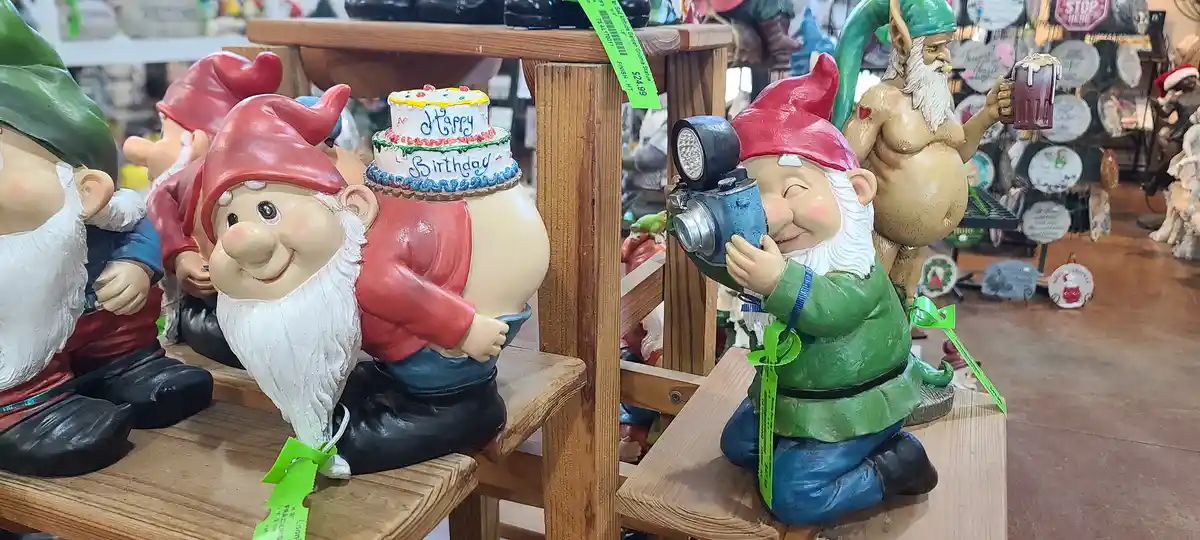 A photo of garden gnome figurines on wooden shelves in a store, one gnome has a birthday cake on its head with "happy…