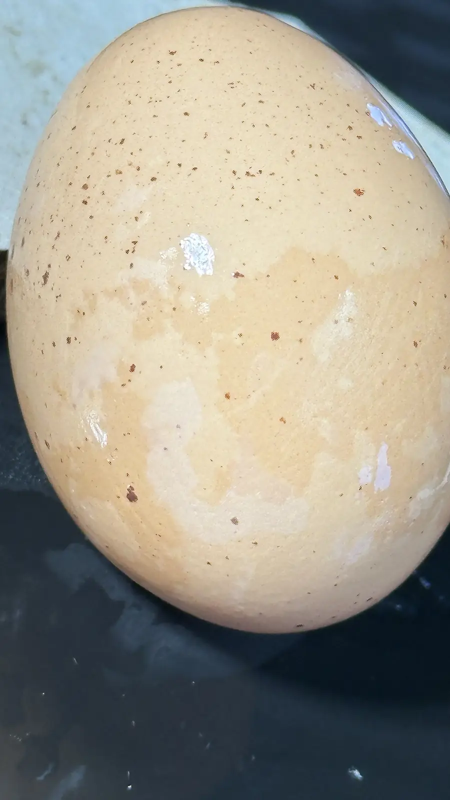 a close-up photo of a brown egg with visible white patches and speckles, resting on a dark surface. The overlaid text reads…