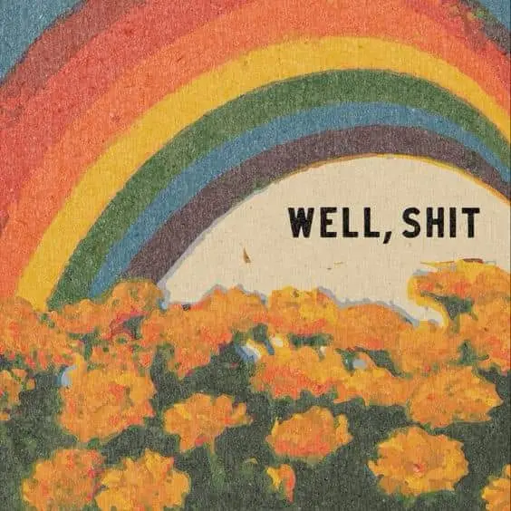 A textured, painterly image shows a vibrant rainbow arcing over a field of orange-yellow flowers. The text 'WELL, SHIT' is…