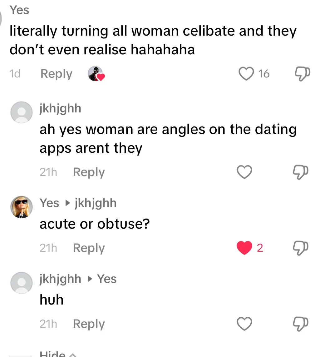 A screenshot of a Reddit comment thread where a user jokes that women are 'literally turning celibate' without realizing it…