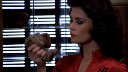 The image is a two-panel meme. The top panel shows a woman in a red outfit holding a small animal, then raising it toward…