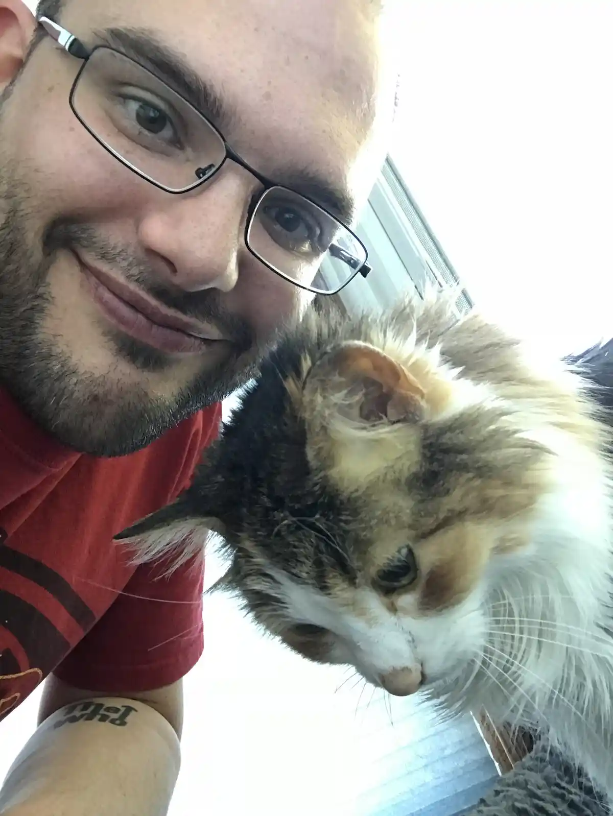A selfie shows a man with glasses and a red shirt smiling at the camera while holding a fluffy calico cat that is looking…