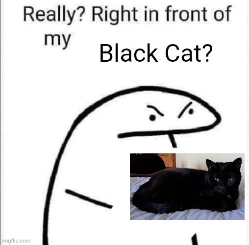 A simple stick figure with an angry, skeptical expression is shown with a small inset photo of a black cat lying on a bed…