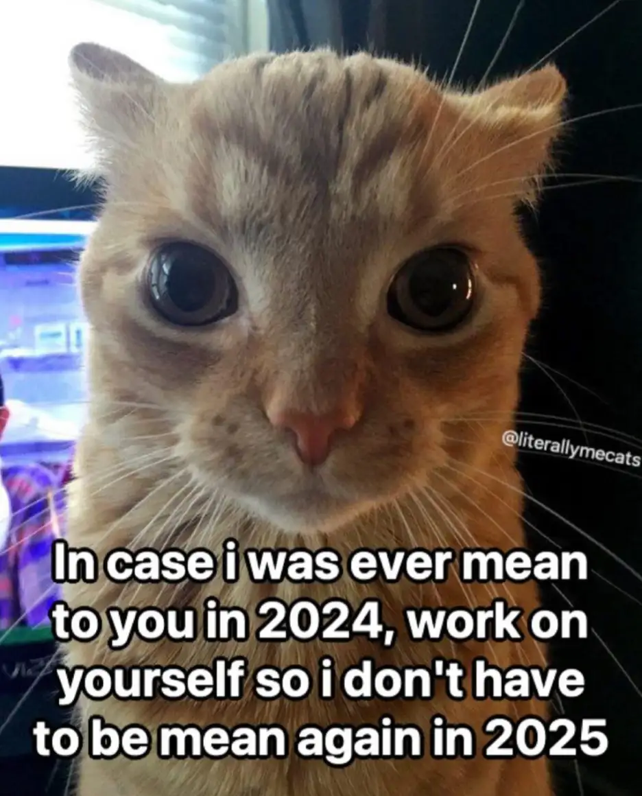 A close-up photo of an orange tabby cat with wide, startled-looking eyes staring directly at the camera. The cat's face…