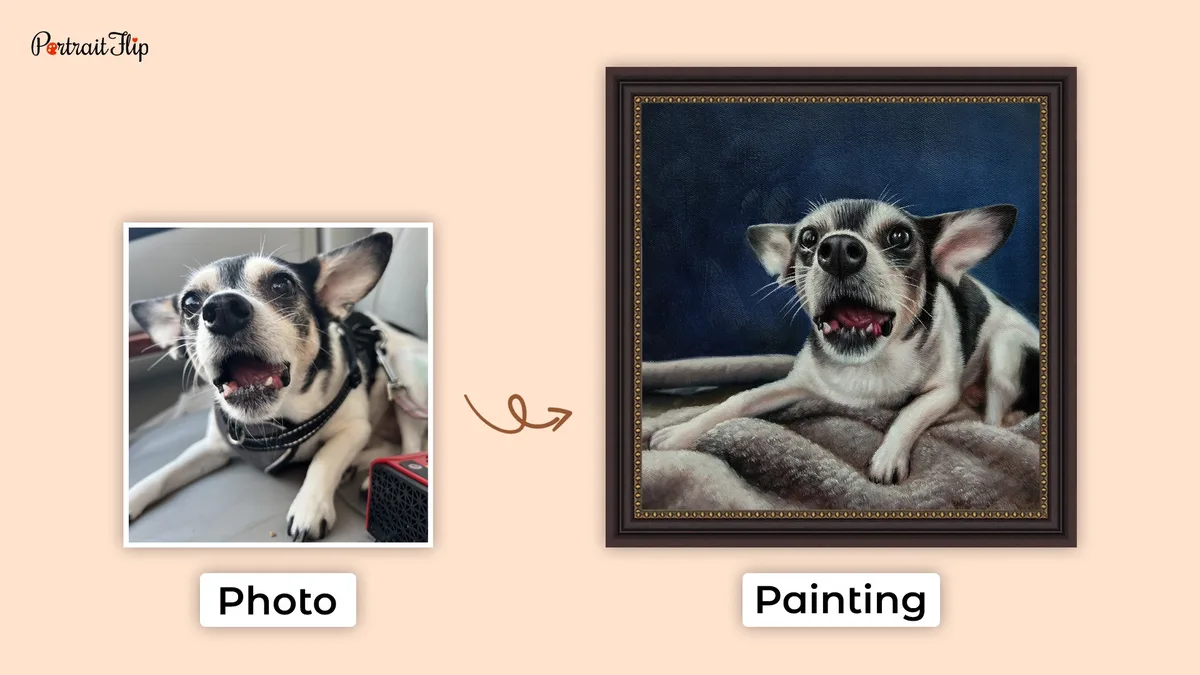 The image displays a side-by-side comparison: on the left, a candid photo of a black-and-white dog with its mouth open…