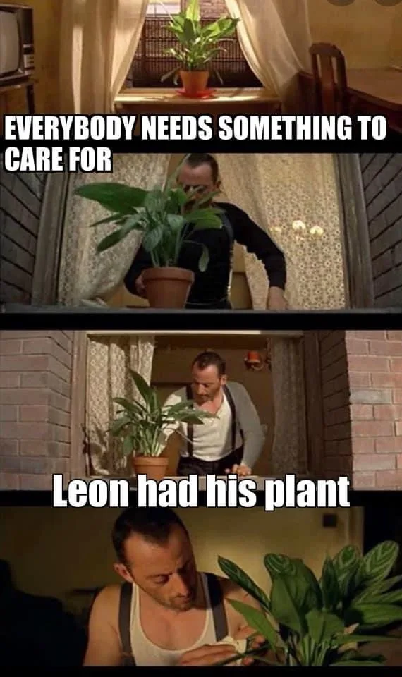 A Valuable Lesson Learned