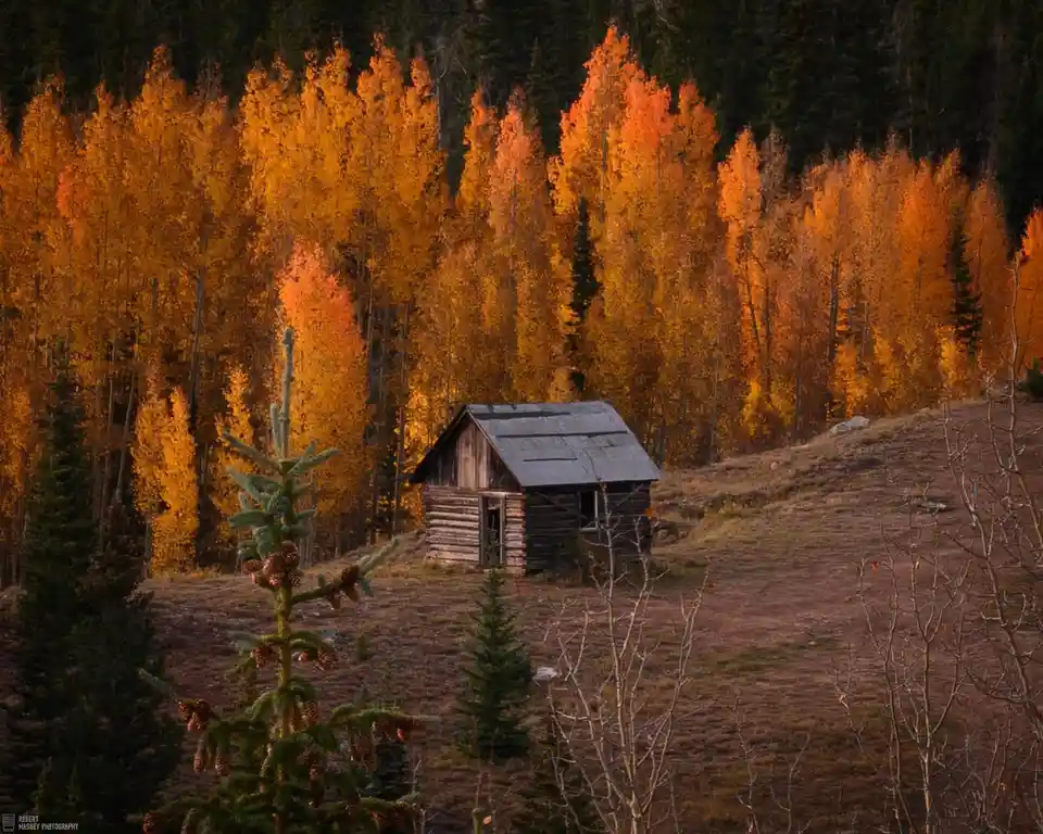 A rustic wooden cabin sits alone on a hillside surrounded by vibrant orange autumn trees, with evergreens in the foreground…