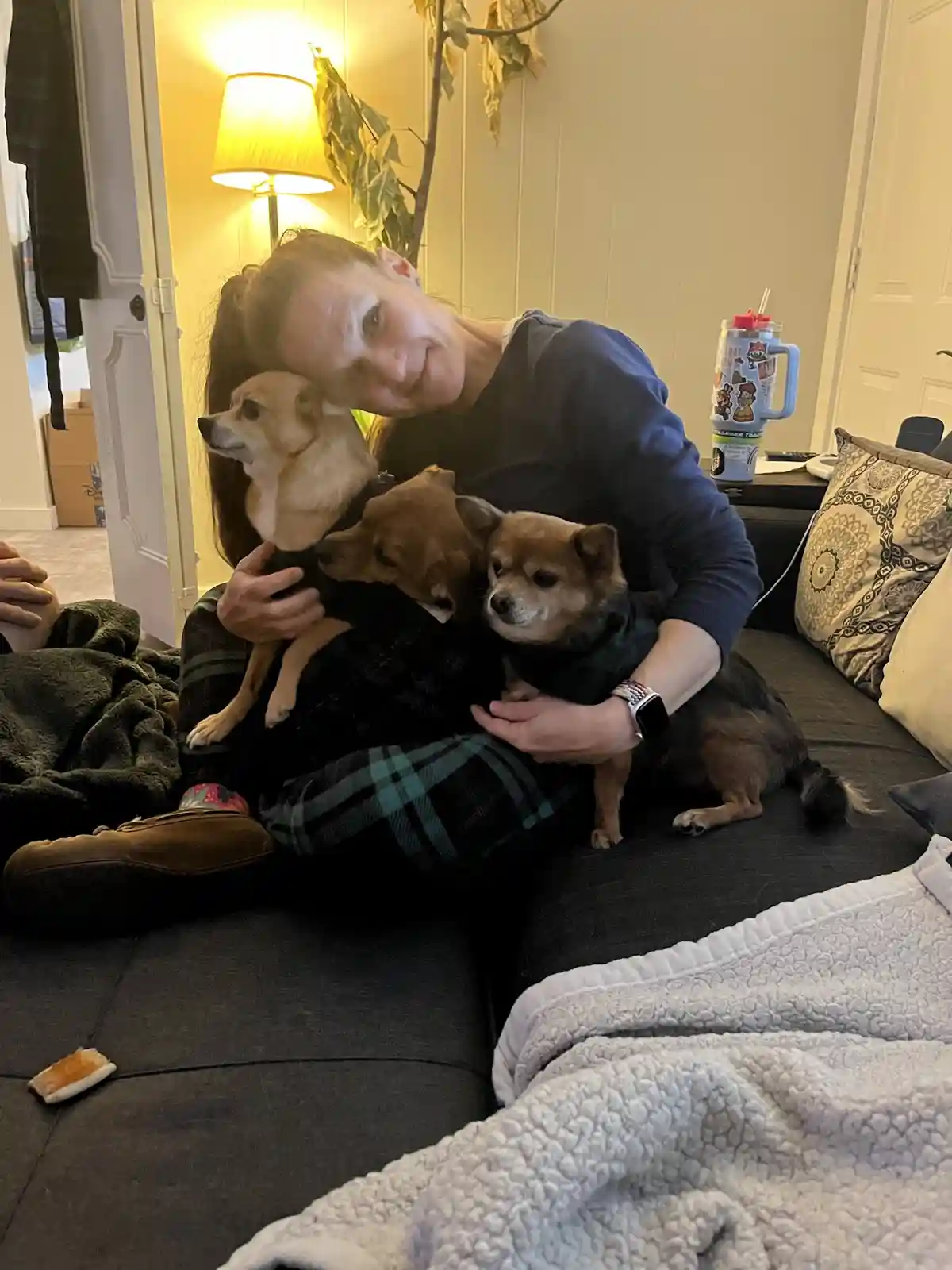 Merry Christmas from Our Furry Family!