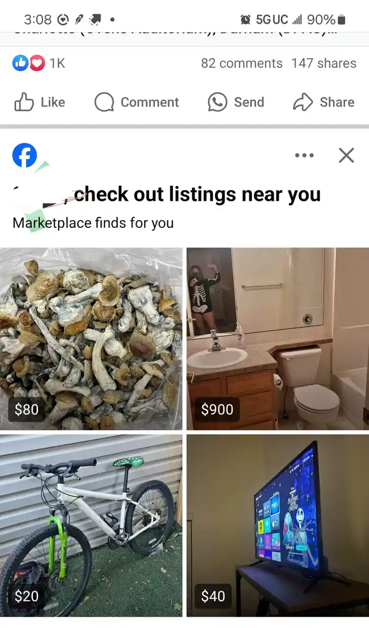 A Facebook Marketplace screenshot showing four items for sale: a bag of dried mushrooms for $80, a bathroom vanity with…