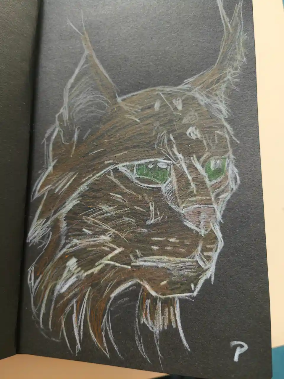 Attempting to Master the Art of Realistic Drawing.