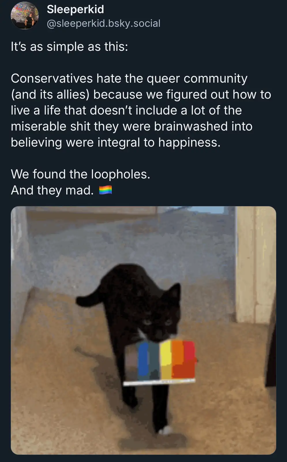A black cat walks forward on a carpeted floor, carrying a small, pixelated rainbow flag in its mouth. The image is overlaid…