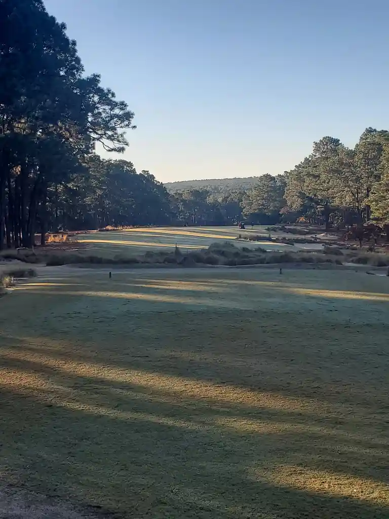 A wide shot of a serene golf course with manicured fairways, sand traps, and tall pine trees under a clear blue sky. The sun…