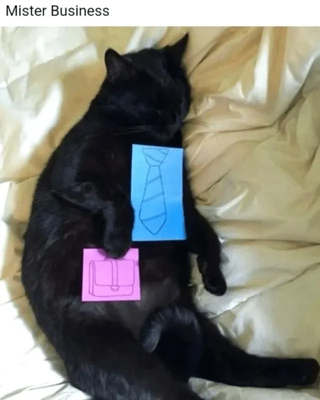 Meet Mr. Business: The Ultimate Professional