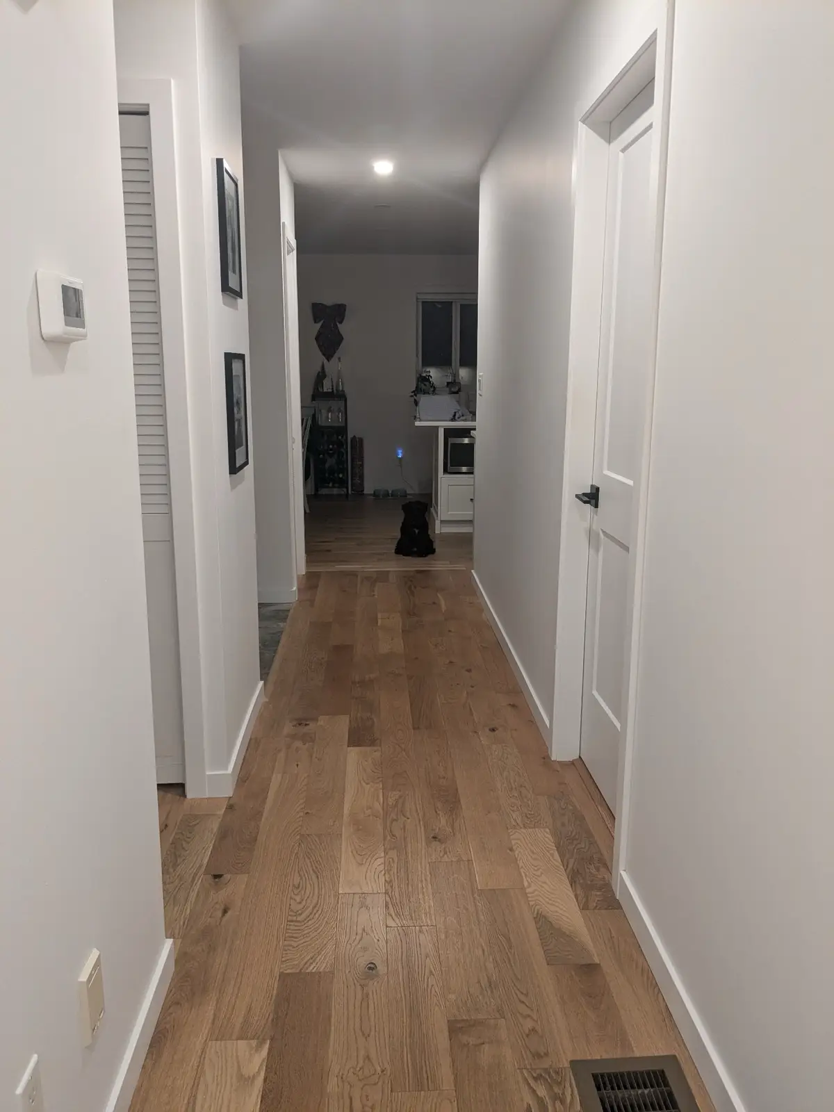 A hallway with light wood floors and white walls leads to a kitchen area where a small black dog sits patiently. The text…