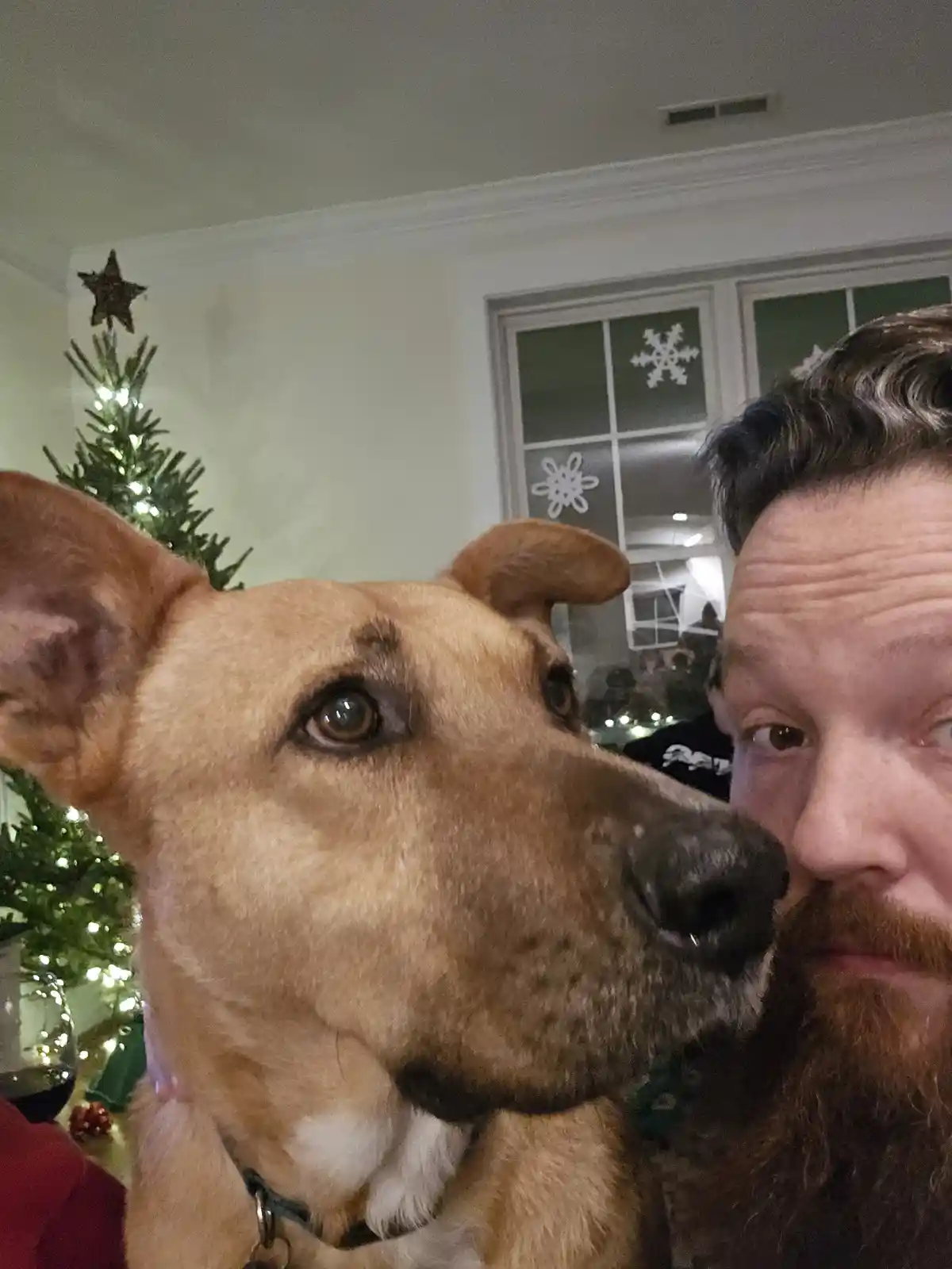 A close-up selfie shows a man with a beard and a tan dog being held, both looking at the camera. In the background, a…
