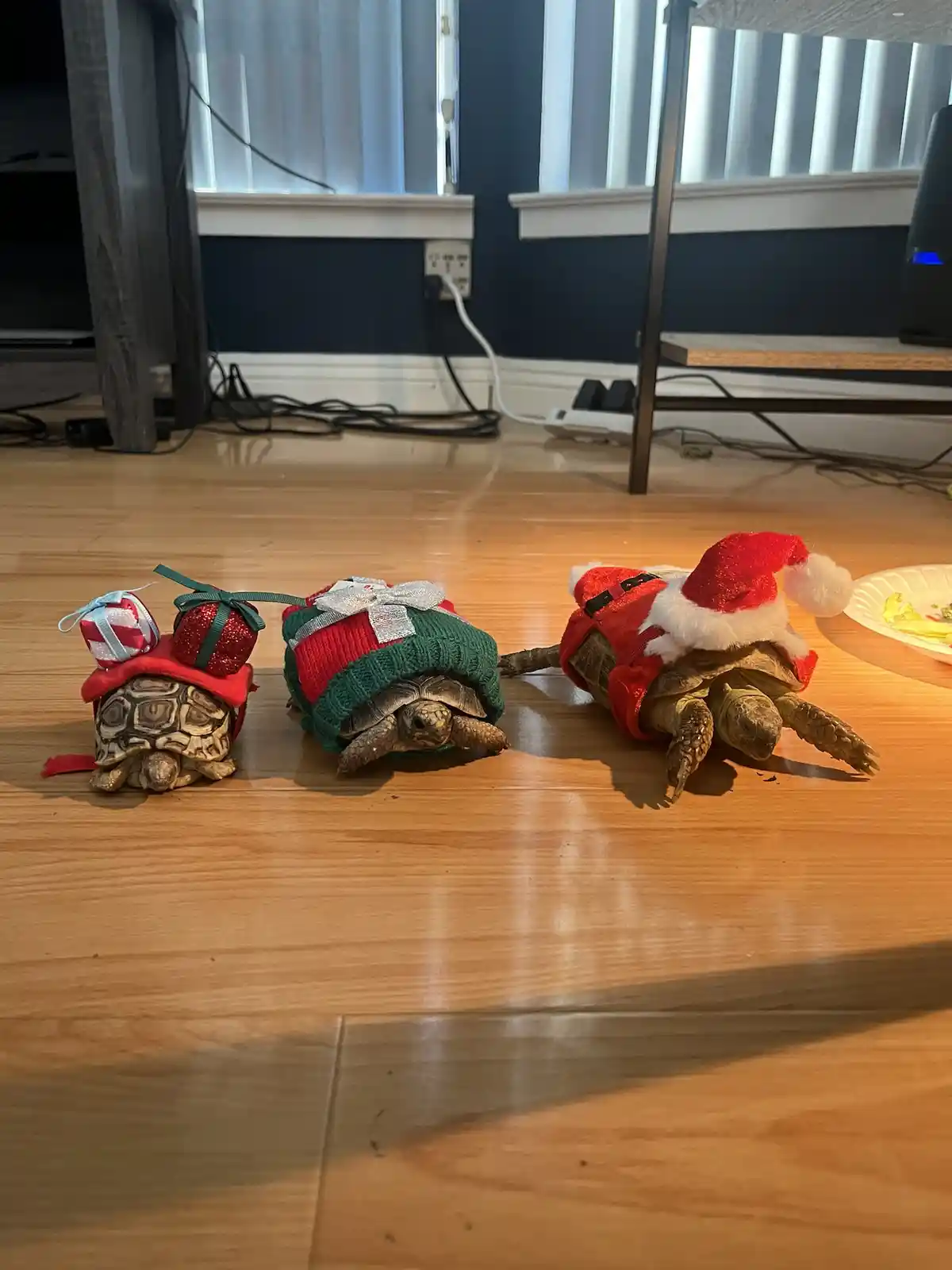 They are all set and excited for Christmas!