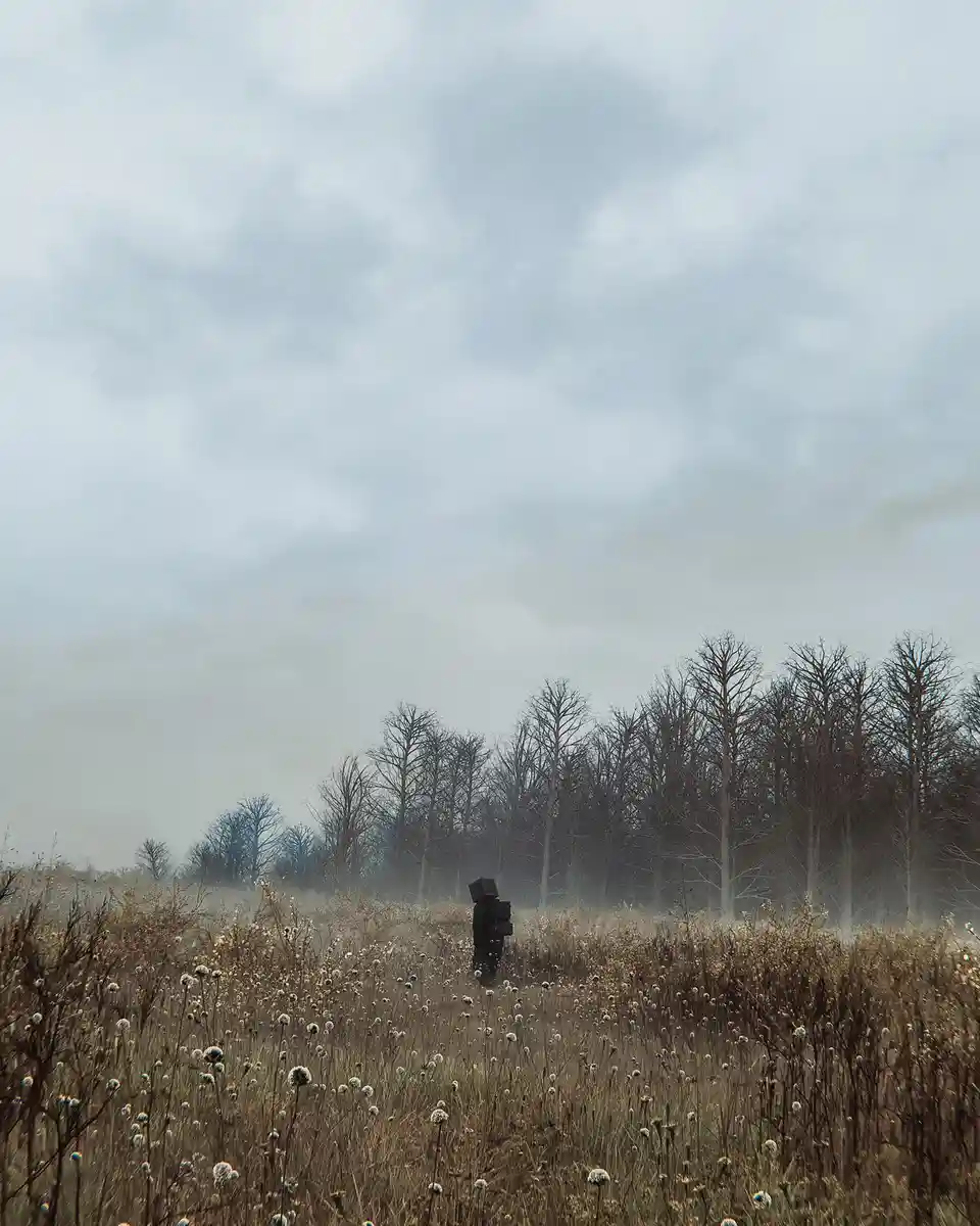 A lone figure stands in a misty, overcast field of dry grass and dandelion fluff, with bare trees in the background. The…
