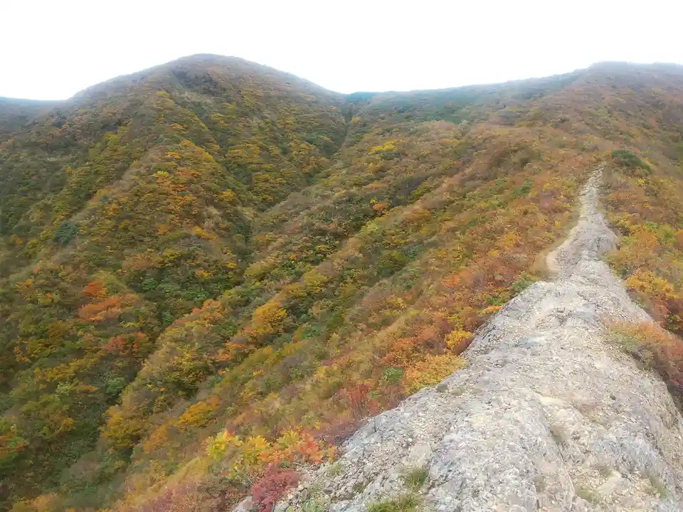 A scenic photo of a narrow, rocky mountain trail winding along a steep ridge, surrounded by dense forests displaying vibrant…