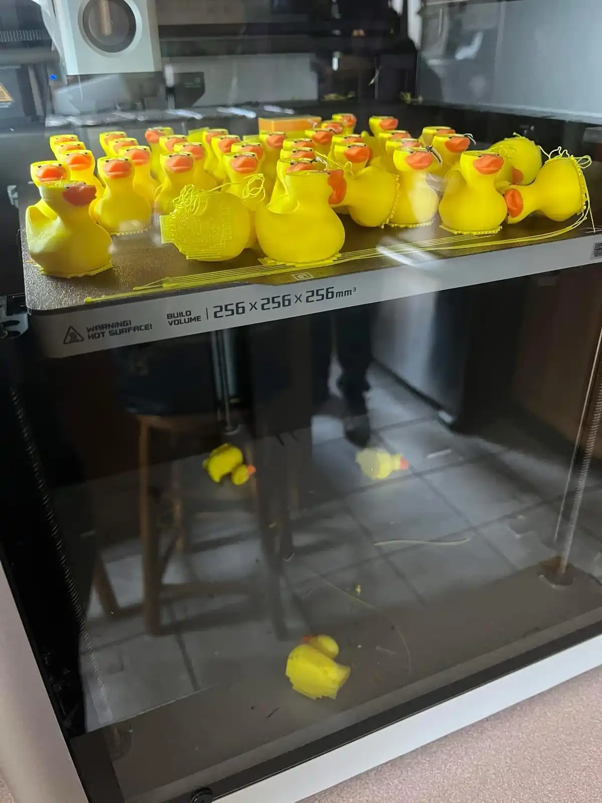 This Duck is Absolutely Hilarious!