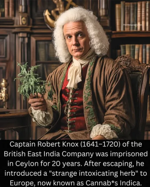 A man in 18th-century colonial attire, with a white wig and period clothing, sits in a library holding a cannabis plant. The…
