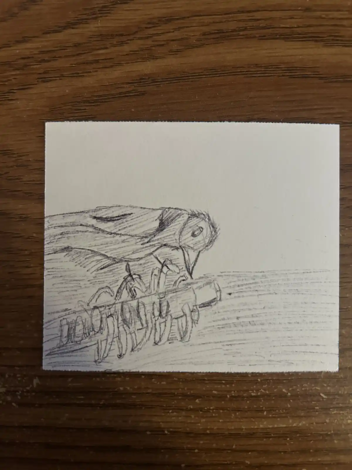 A pencil sketch on white paper shows a large, stylized bird-like creature with a long beak and feathered body, perched on a…