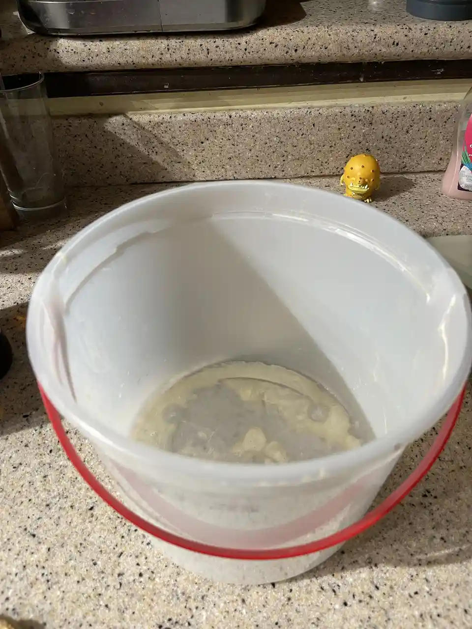 A white plastic bucket with a red handle sits on a speckled kitchen countertop, containing a murky, lumpy, beige-gray…