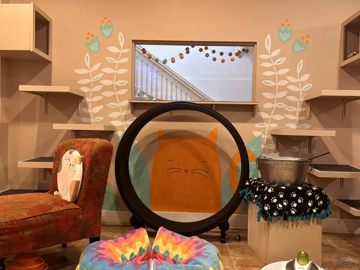 A cozy, well-decorated cat room features a large circular cat wheel with a smiling orange cat face painted on it, surrounded…