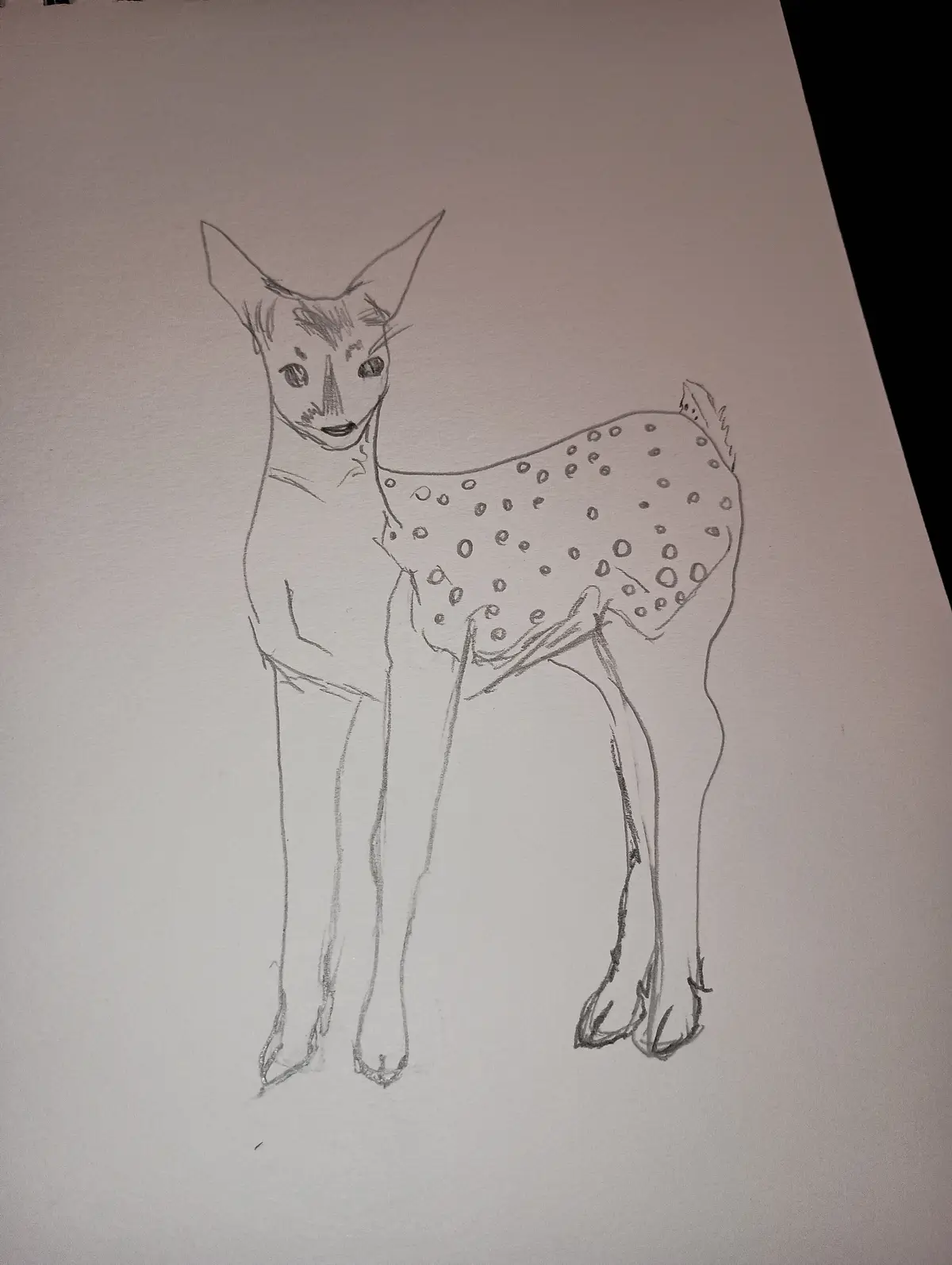 A pencil sketch of a deer with spots on its back, but its face has been drawn to resemble a human with large eyes and a…