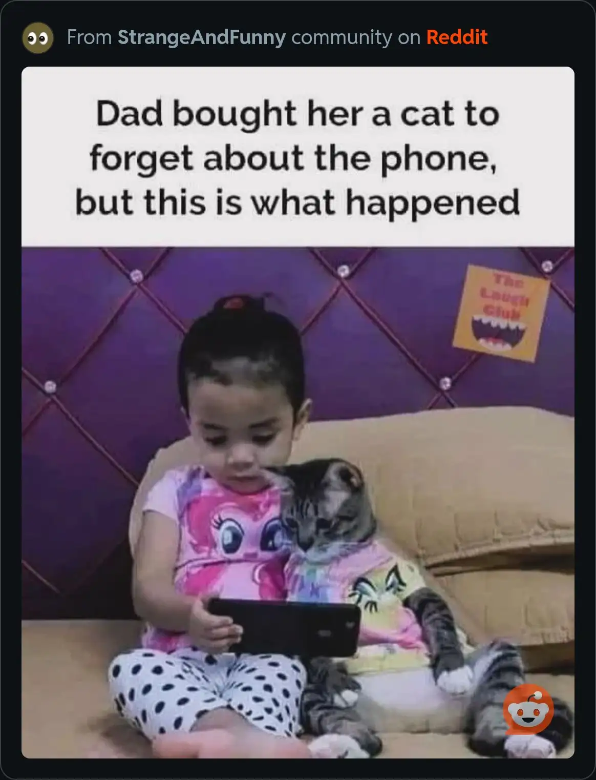 Caturday Shenanigans: Hilarious Memes You Didn't Know You Needed